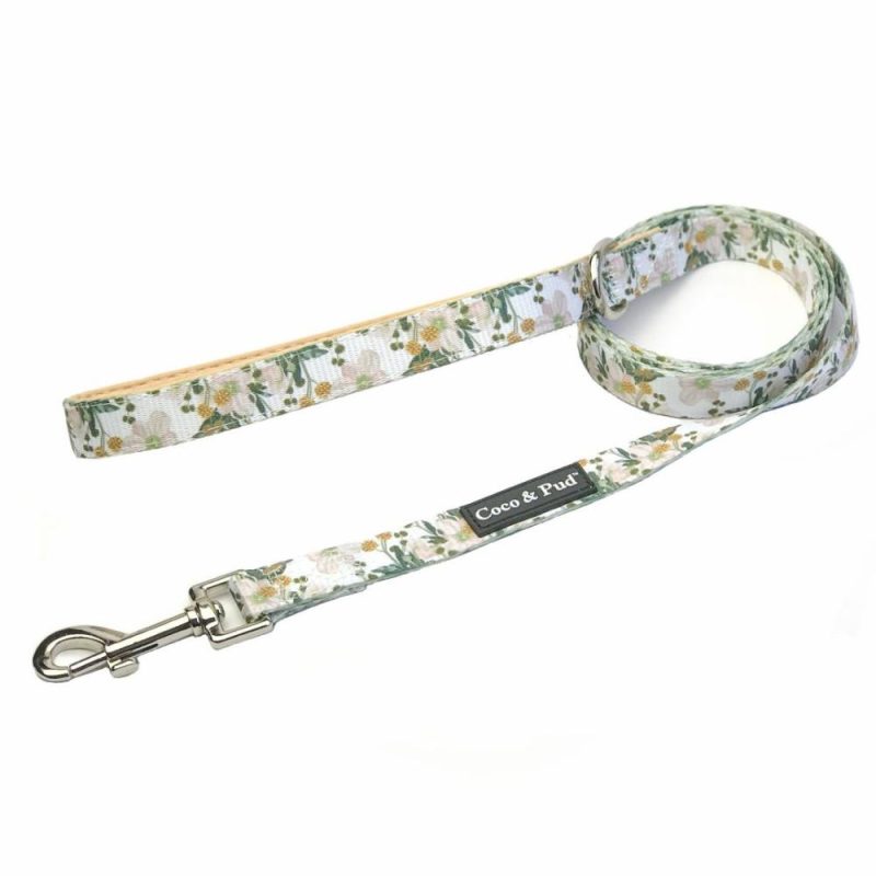 Leads | Windflower Dog lead/ Leash