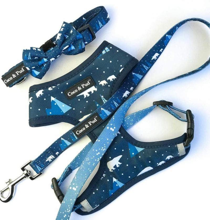 Reversible Harnesses | Arctic Pup Reversible Dog Harness