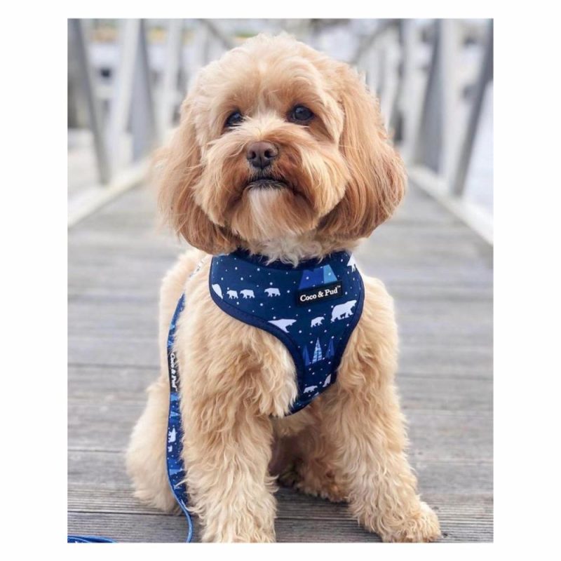 Reversible Harnesses | Arctic Pup Reversible Dog Harness