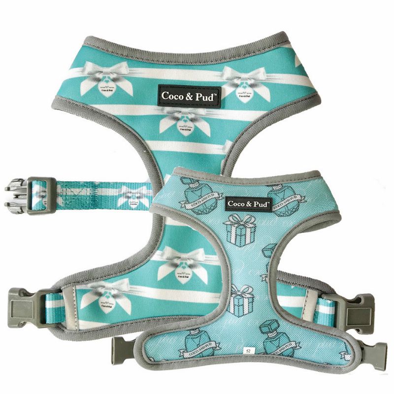 Reversible Harnesses | Audrey Reversible Dog Harness