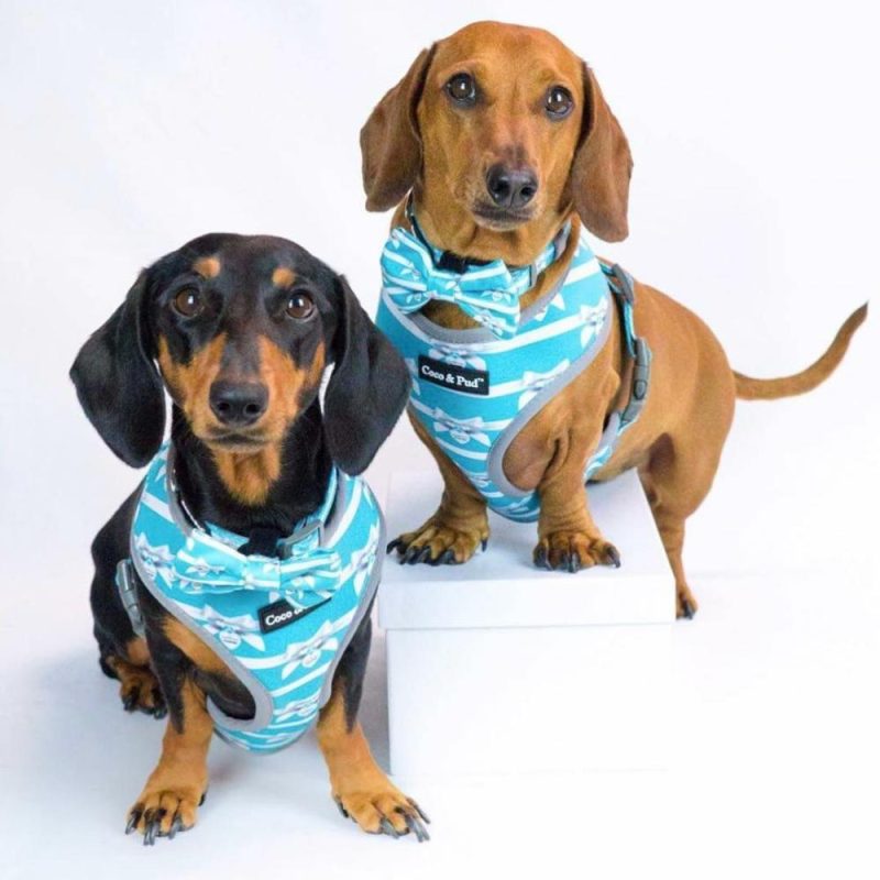 Reversible Harnesses | Audrey Reversible Dog Harness