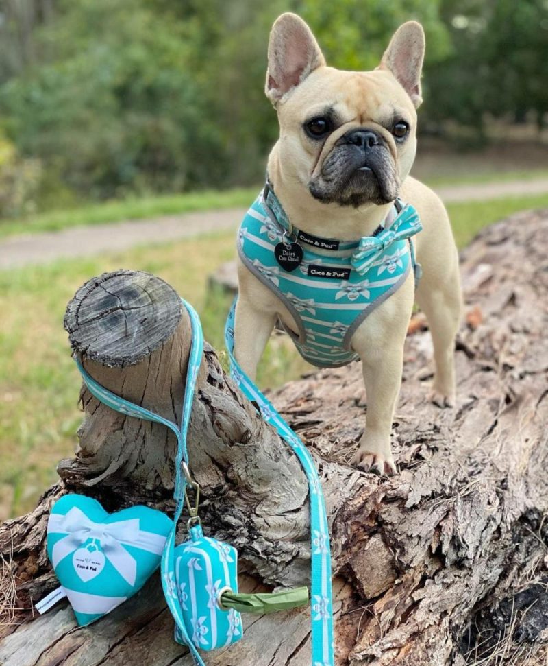 Reversible Harnesses | Audrey Reversible Dog Harness