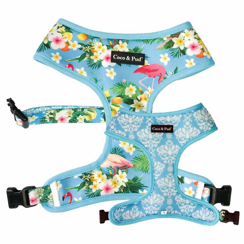 Reversible Harnesses | Flamingo Tropical Dog Harness