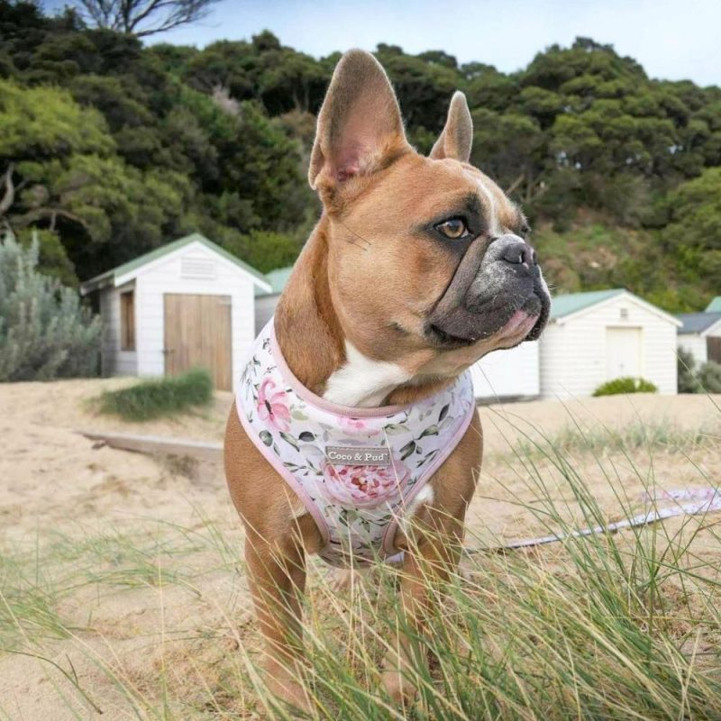 Reversible Harnesses | Le Jardin Reversible Dog Harness