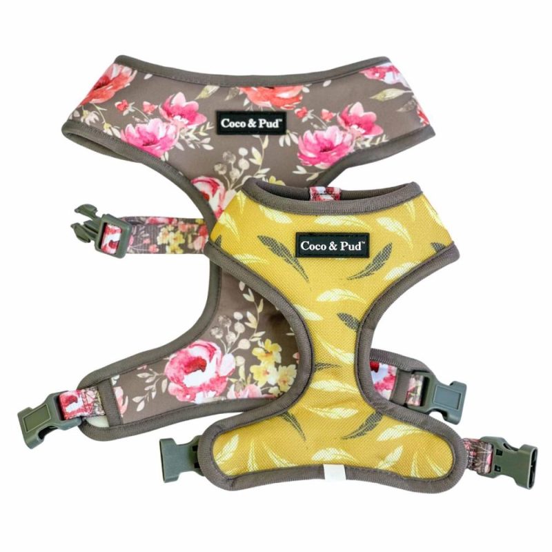 Reversible Harnesses | Vintage Garden Reversible Dog Harness