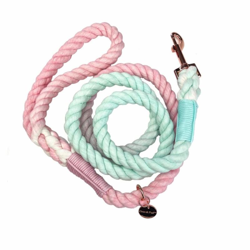 Rope Leads | Provence Rope Dog Lead/ Leash