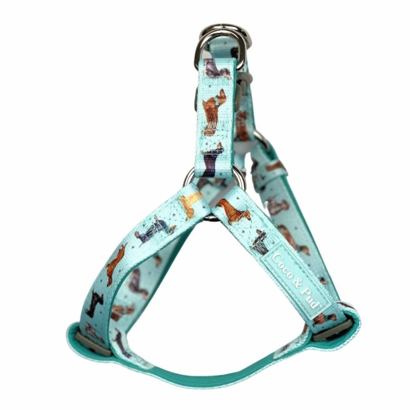 UniClip Harnesses | Doxie Love UniClip Lite Dog Harness