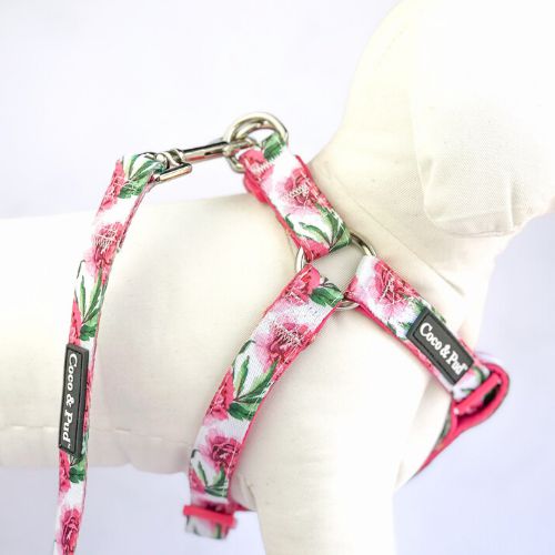 UniClip Harnesses | Peony UniClip Lite Dog Harness