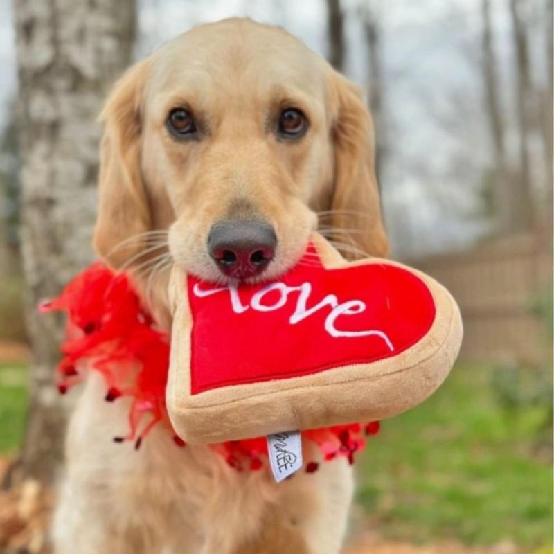 Valentine’s Day | Red Heart Love Sugar Cookie Dog Toy