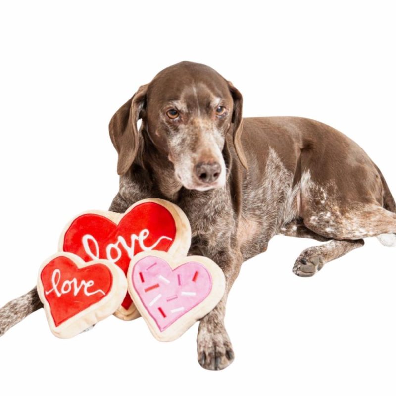 Valentine’s Day | Red Heart Love Sugar Cookie Dog Toy