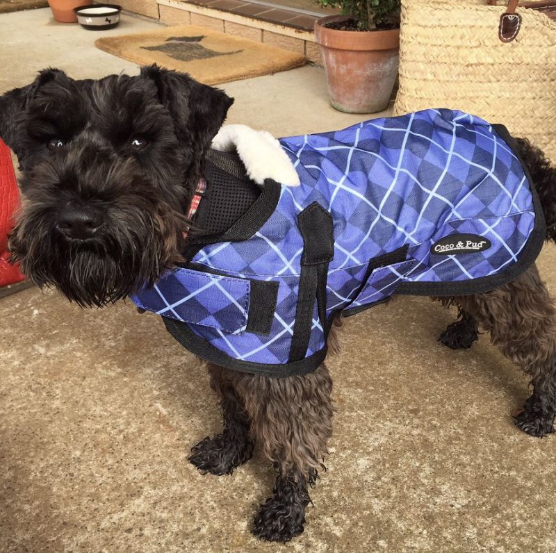 Waterproof Coats | Waterproof Dog Coat 3009 – Blue Check