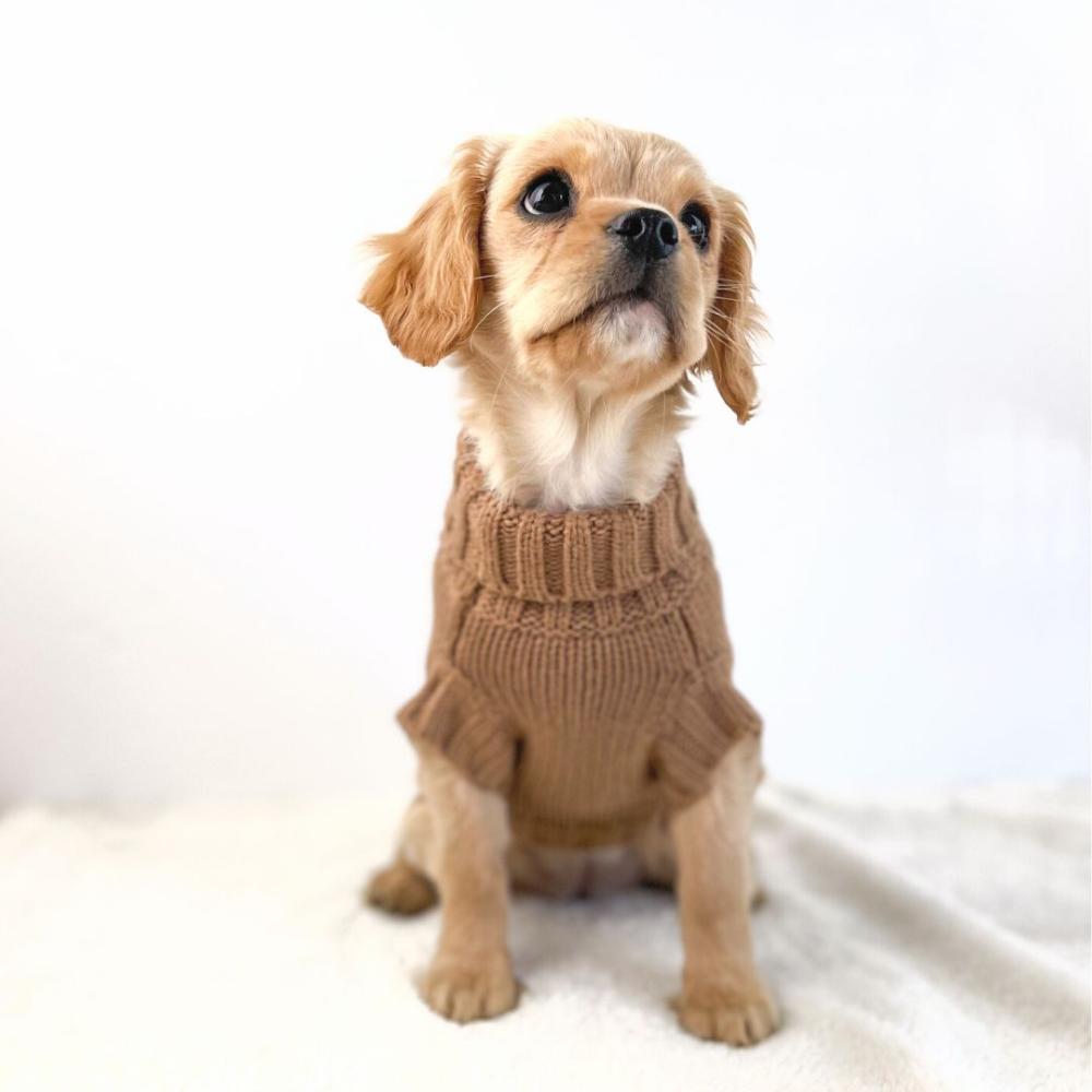 Wool Sweaters | Coco Cable Dog Sweater/ Dog Jumper – Cinnamon