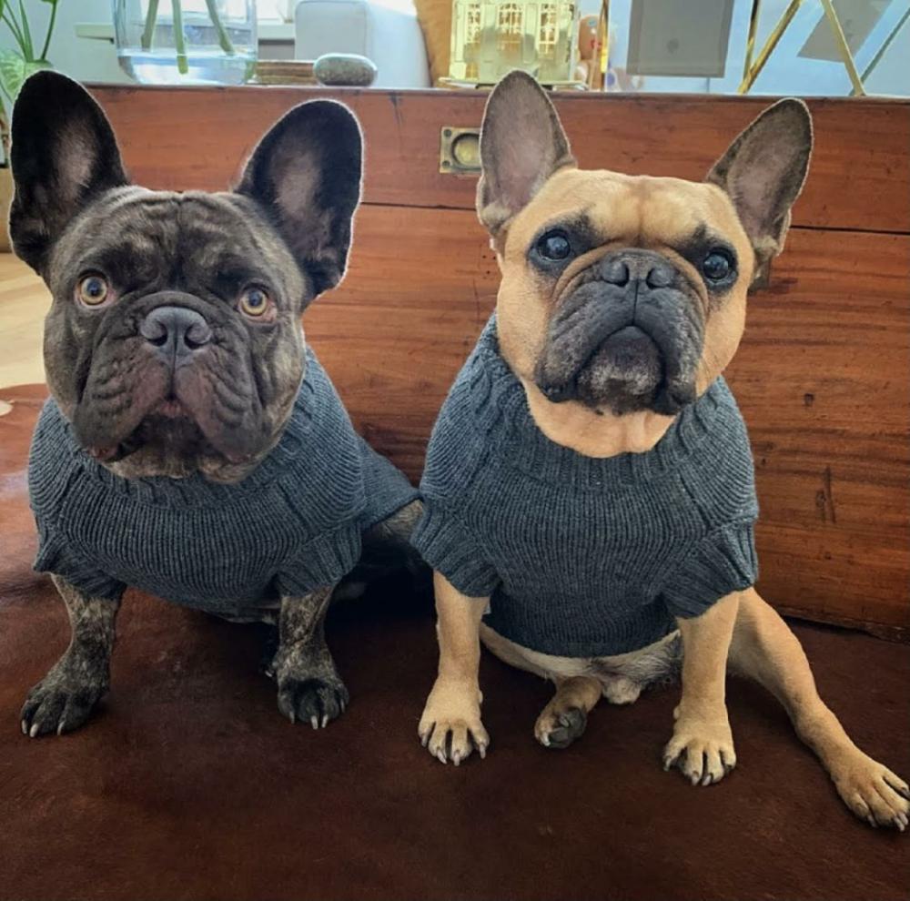 Wool Sweaters | Coco Cable Dog Sweater/ Dog Jumper – Slate Grey