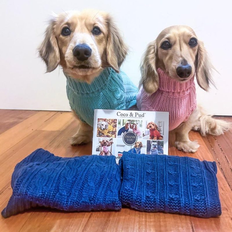 Wool Sweaters | Dachshund Cable Dog Sweater/ Dog Jumper – Azure