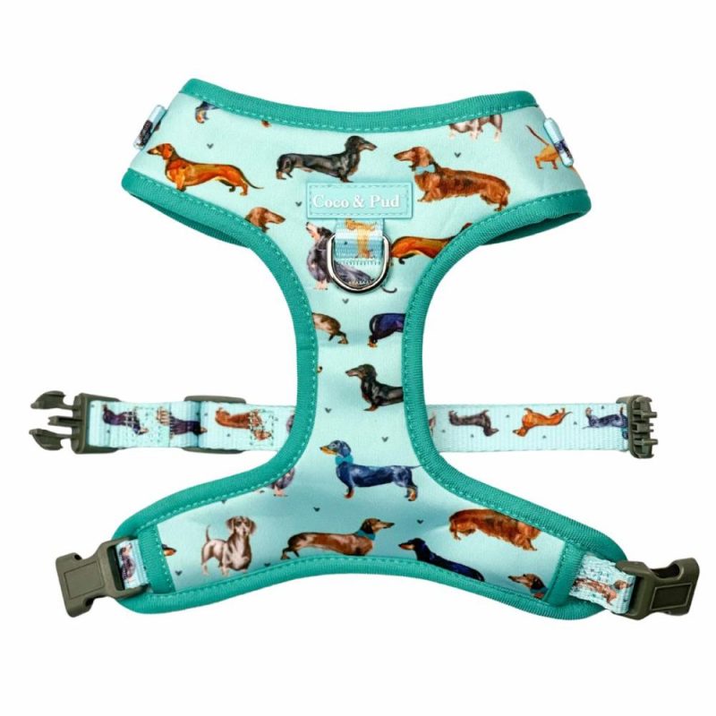 Adjustable Harnesses | Doxie Love Adjustable Dog Harness