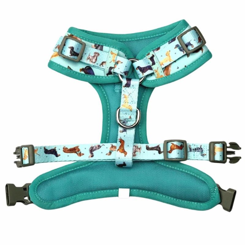 Adjustable Harnesses | Doxie Love Adjustable Dog Harness