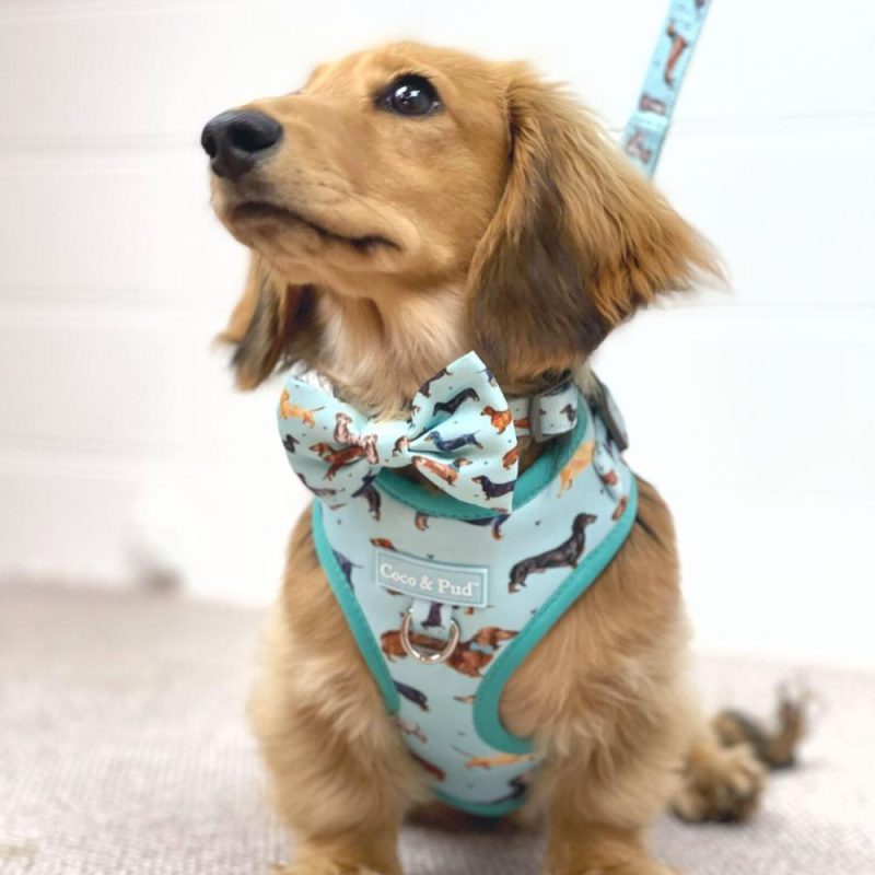 Adjustable Harnesses | Doxie Love Adjustable Dog Harness