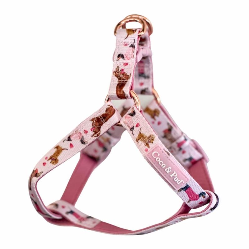 UniClip Harnesses | Doxie Rose UniClip Lite Dog Harness