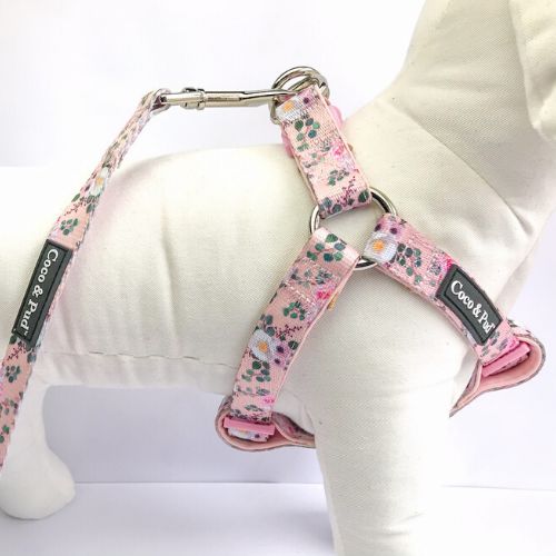 UniClip Harnesses | Provence Rose UniClip Lite Strap Dog Harness