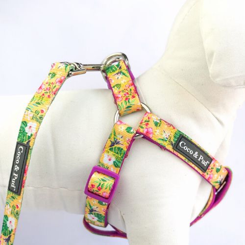 UniClip Harnesses | Summer Sunrise UniClip Lite Strap Dog Harness