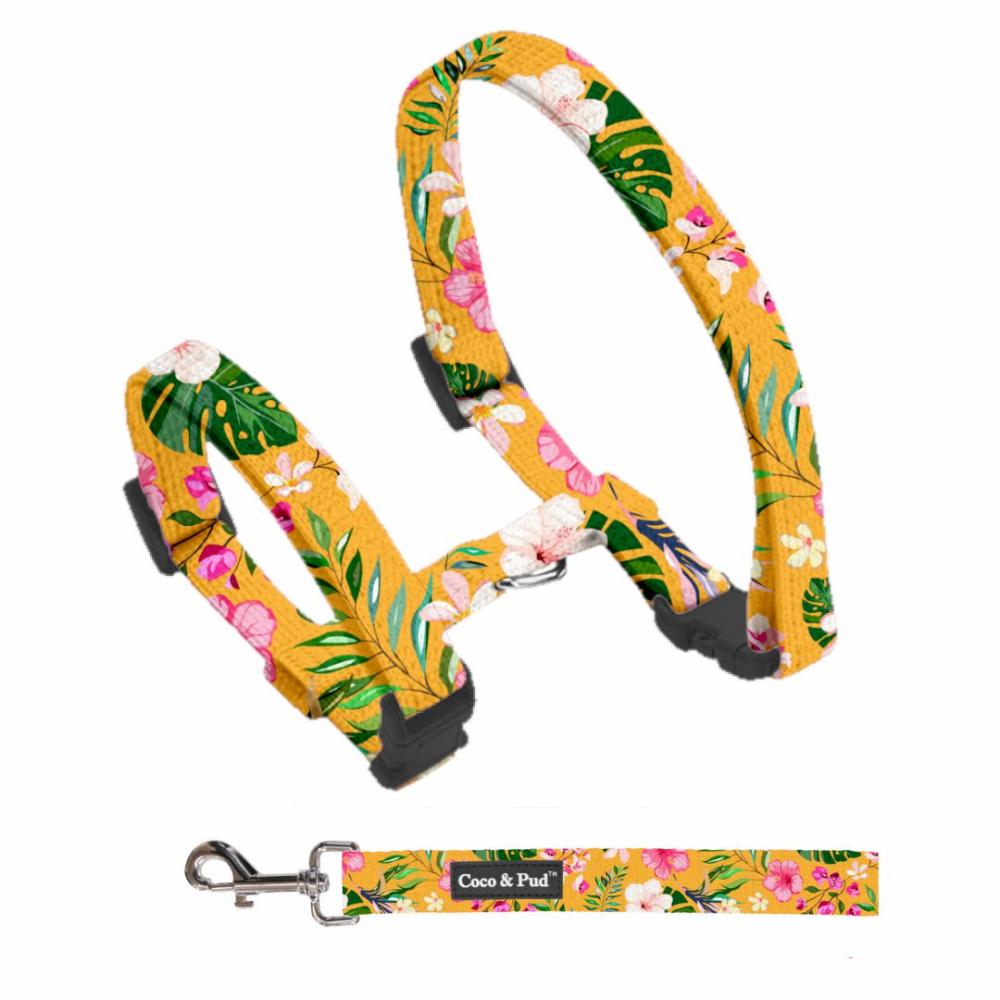 Harnesses | Summer Sunrise Cat/ Puppy Harness